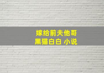 嫁给前夫他哥黑猫白白 小说